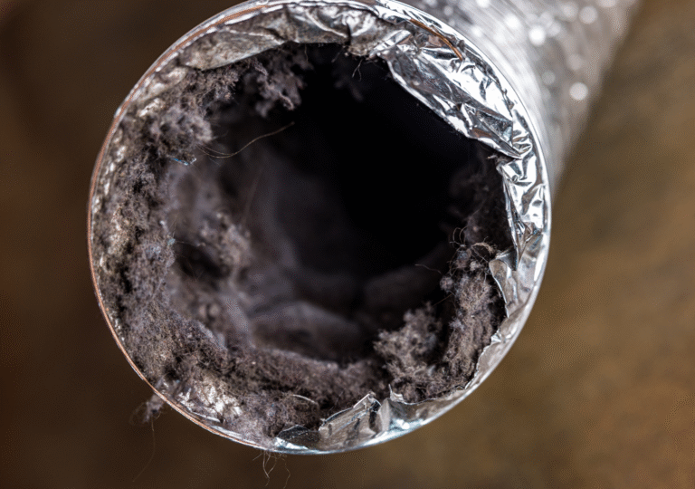 Adsız tasarım (74)